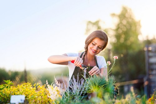 Healthy and lush green lawn maintained in Enfield