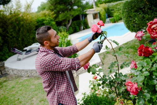 Team member preparing hedge trimming equipment in Enfield