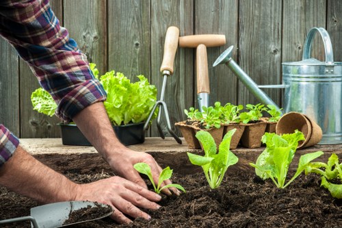 Trimmer preparing to cut a tall hedge in a suburban garden