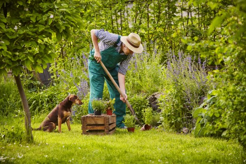 Technological advancements in modern lawn mowing equipment