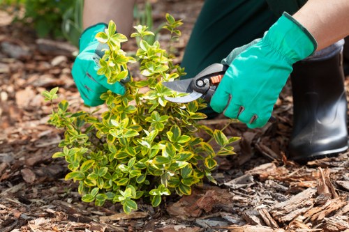 Tools and equipment for effective lawn mowing
