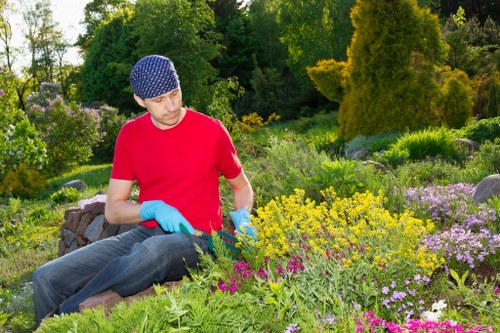 A man wearing a red T-shirt, blue gloves, and a blue patterned hat is tending to a lush flower bed in a well-maintained garden. He is seated on the edge of the bed, carefully working among a variety of flowering plants with bright yellow, purple, and pink blooms, as well as green foliage. Surrounding him are distinct garden elements, including a neatly trimmed lawn in the foreground, with a rich mix of textured soil and paving stones nearby. In the background, tall trees and dense shrubs create a natural boundary for the outdoor space, providing a peaceful and sheltered environment. The garden appears to be well cared for, with a diverse plant layout arranged in layered beds, supporting vibrant natural tones and seasonal growth. The scene is set in bright daylight, contributing to the vividness of the image, which demonstrates attentive gardening work that local landscaping services in Enfield, such as Hedge Trimming Enfield, might undertake to maintain tidy, flourishing outdoor spaces throughout the year.