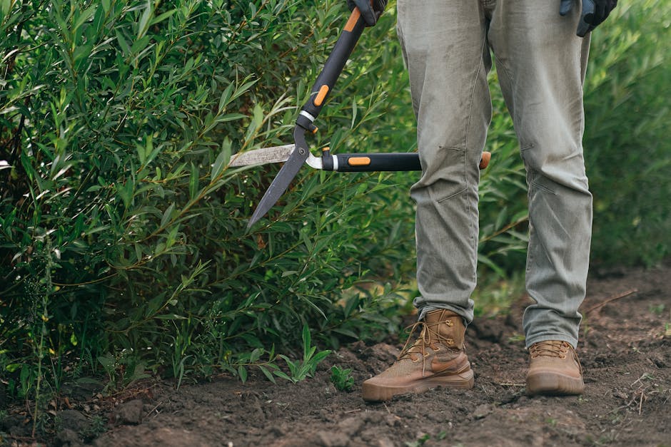 Close-up of a gardener from the waist down, trimming dense green hedge with a long-handled pruning shear in an outdoor garden. The gardener is wearing beige work trousers and sturdy brown gardening bo